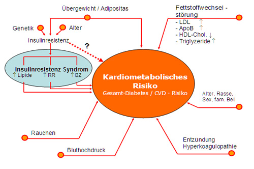 Kardiometabolisches Risiko