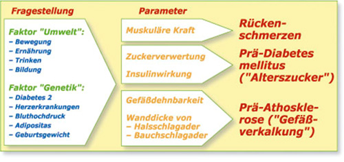 Fragestellung