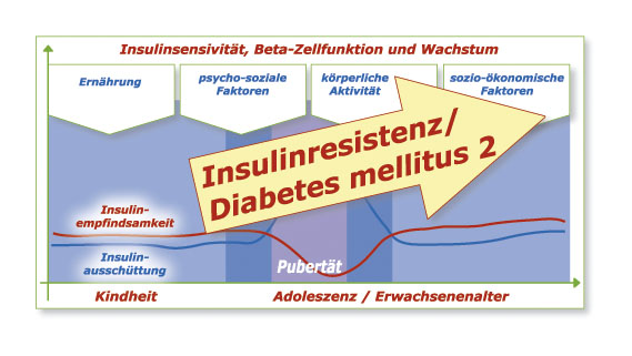 insulinresistenz